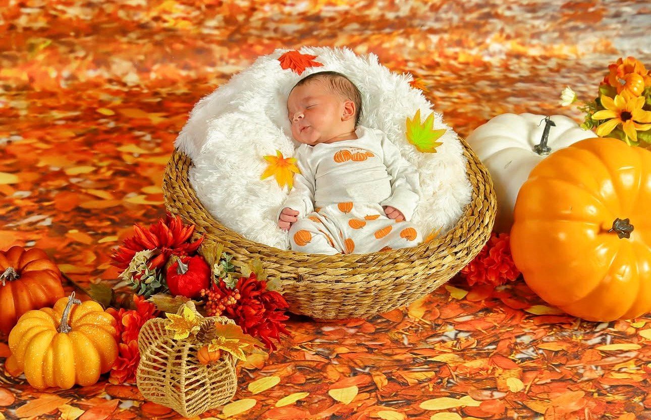 Newborn in a basket surrounded by pumpkins and autumn leaves